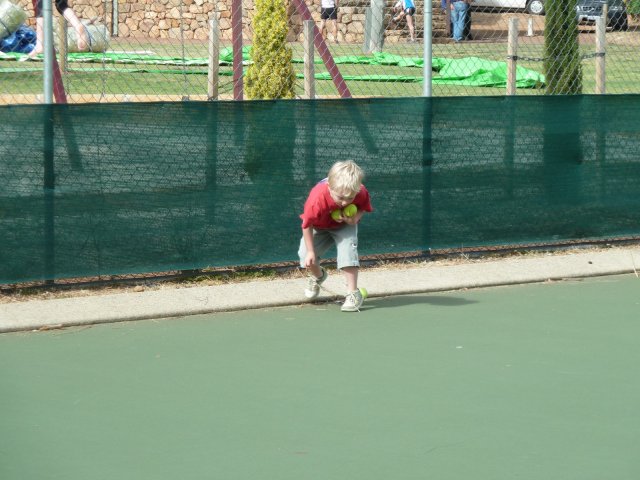 P1000651 [1600x1200]